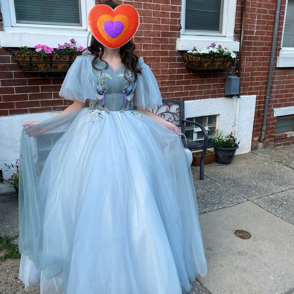 Elegant Blue Tulle Gown